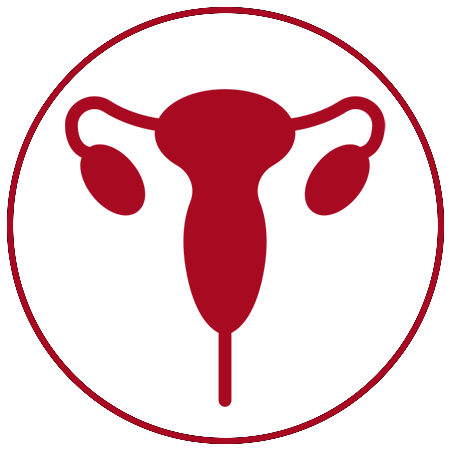 Gynecologist and Obstetrician